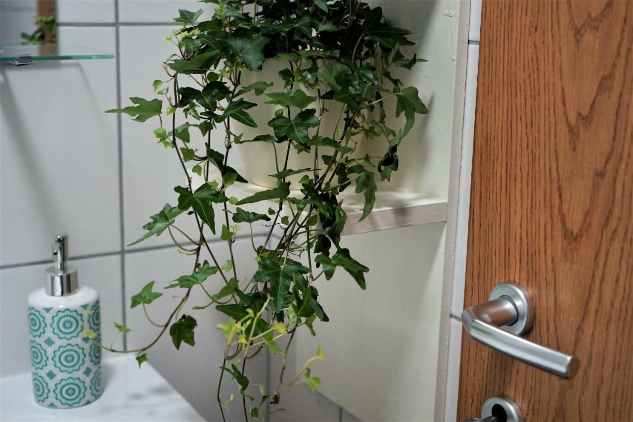 Momo'S Studio Apartment Ζάγκρεμπ Εξωτερικό φωτογραφία