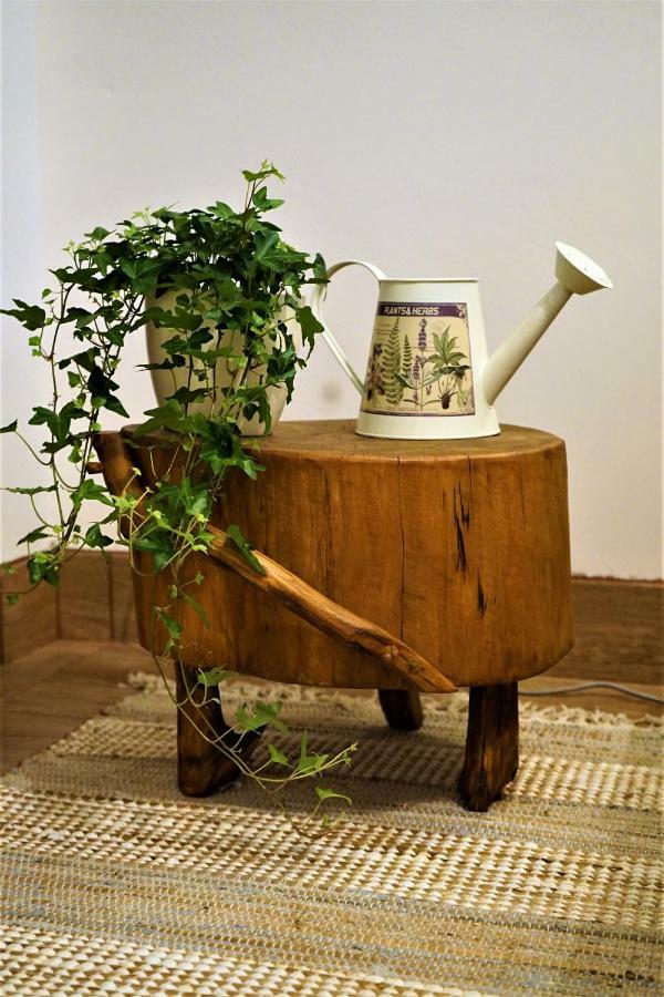 Momo'S Studio Apartment Ζάγκρεμπ Εξωτερικό φωτογραφία